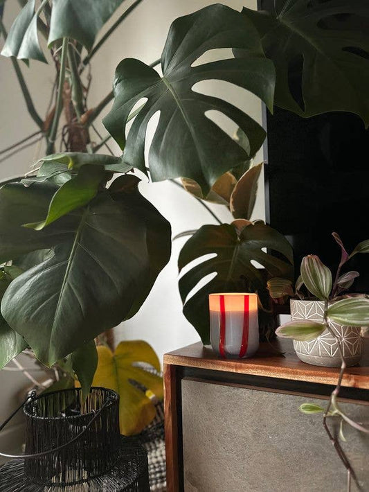 Atina Candle - Tomato & Mint Leaf