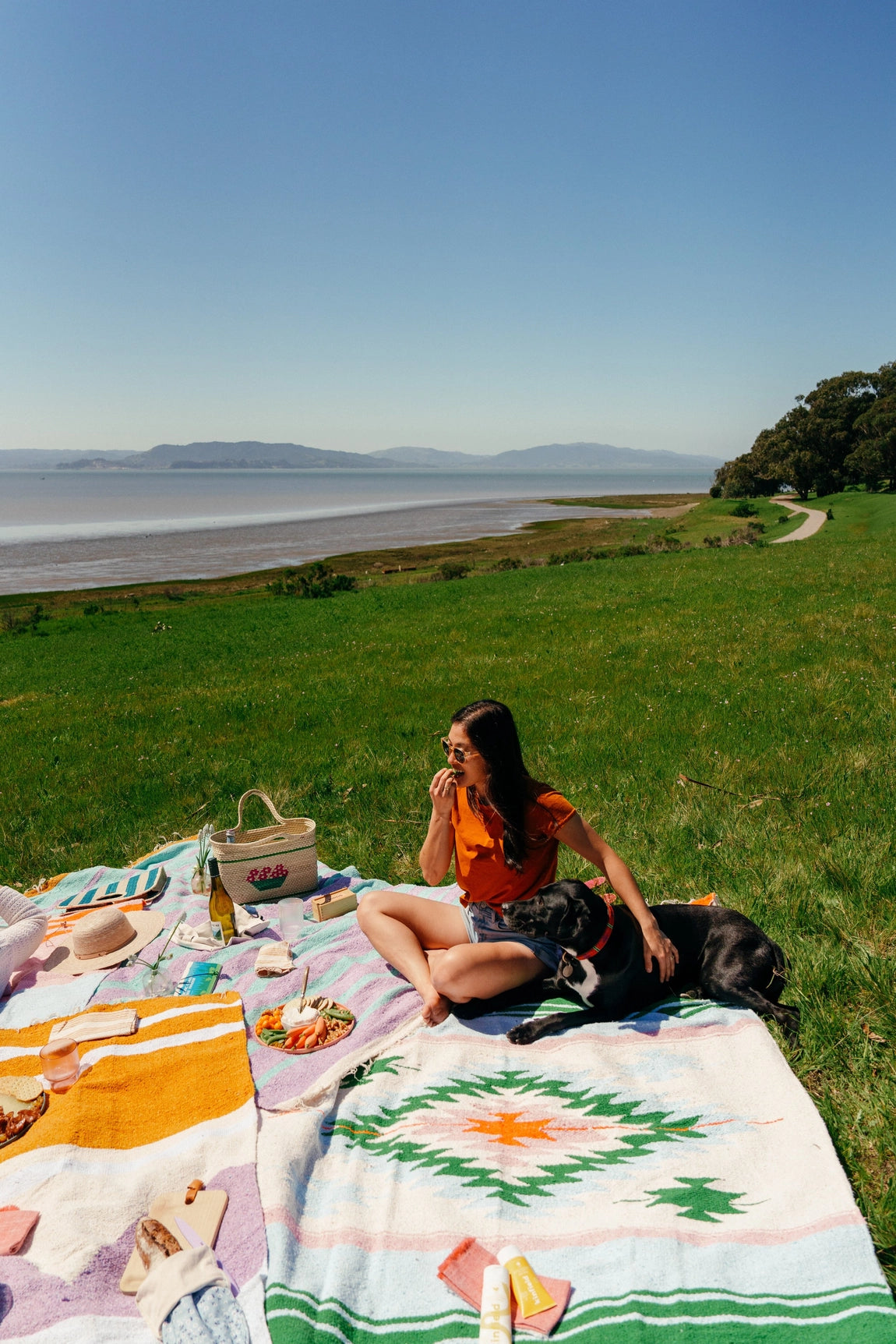 Tierra Vuelta Picnic Blanket Roll