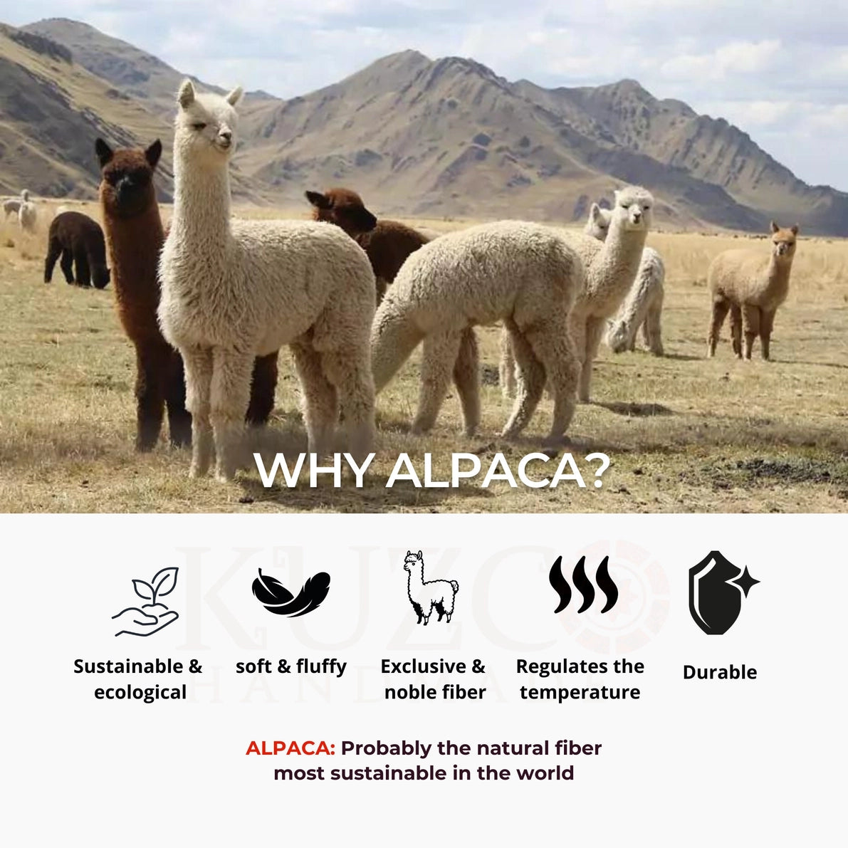 Alpaca Fur Slippers
