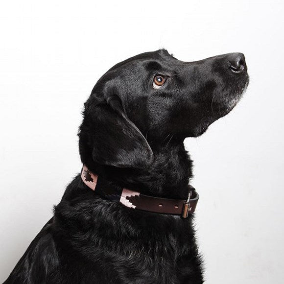 hound