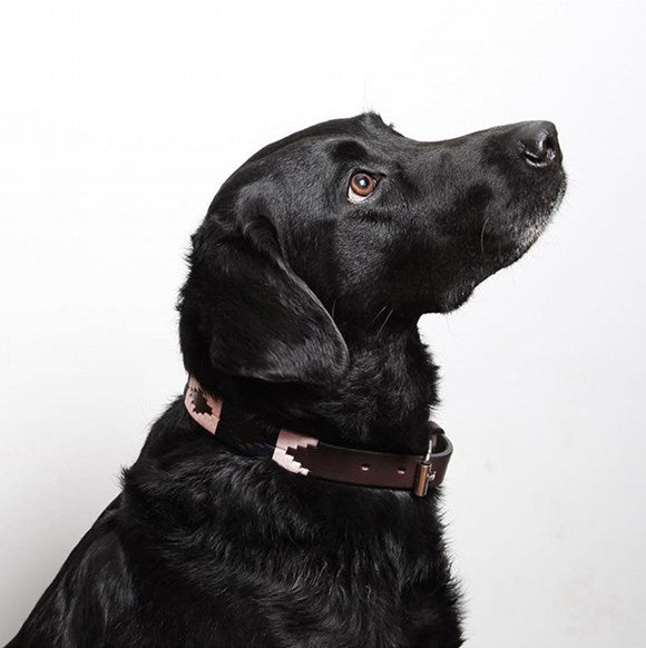 hound