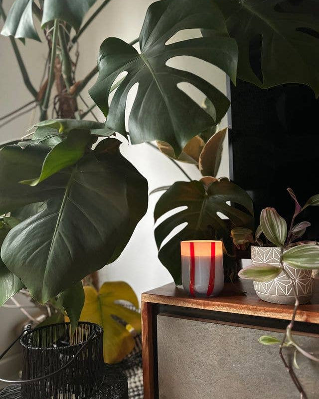 Atina Candle - Tomato & Mint Leaf