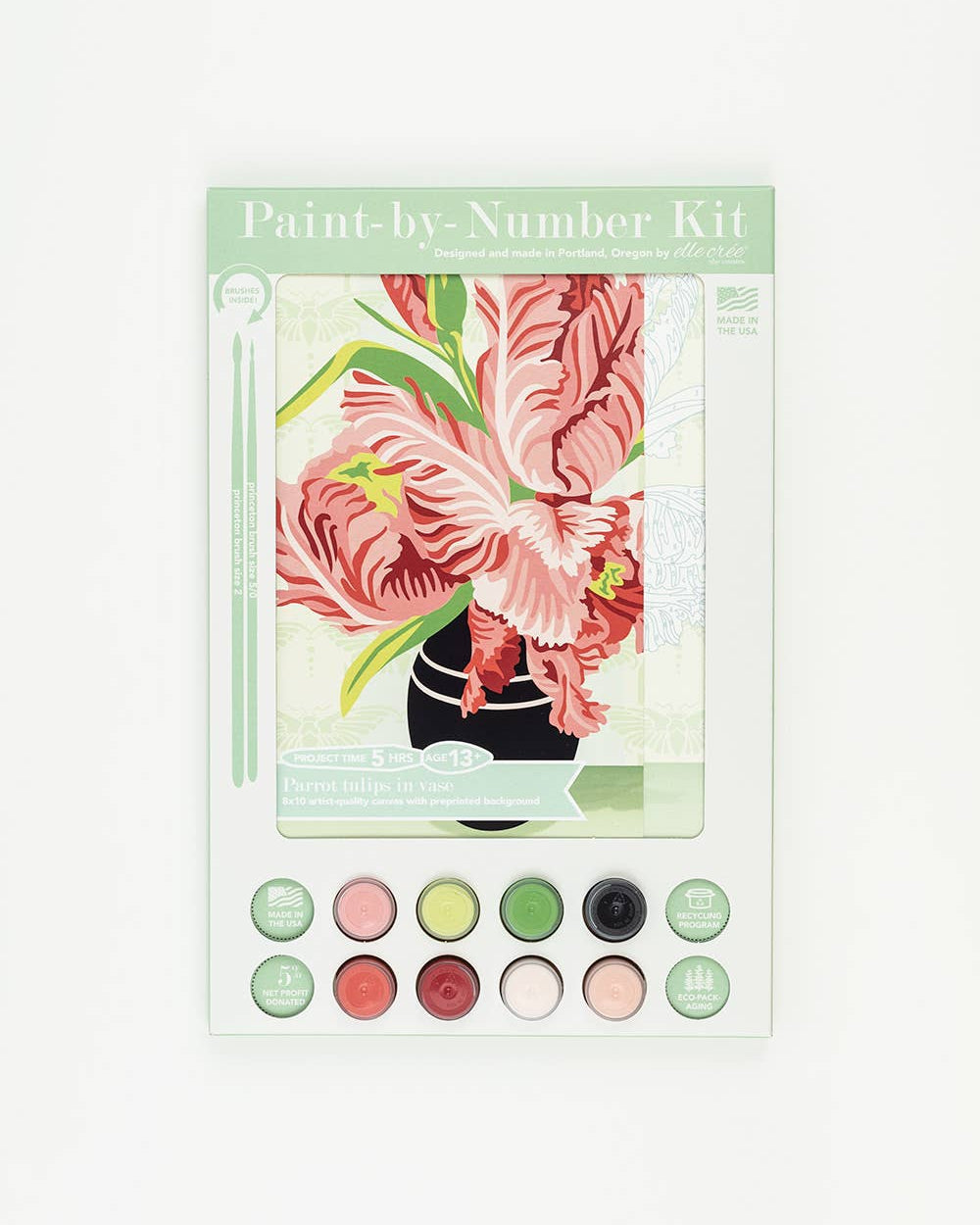 Parrot Tulips in Vase Paint-by-Number Kit