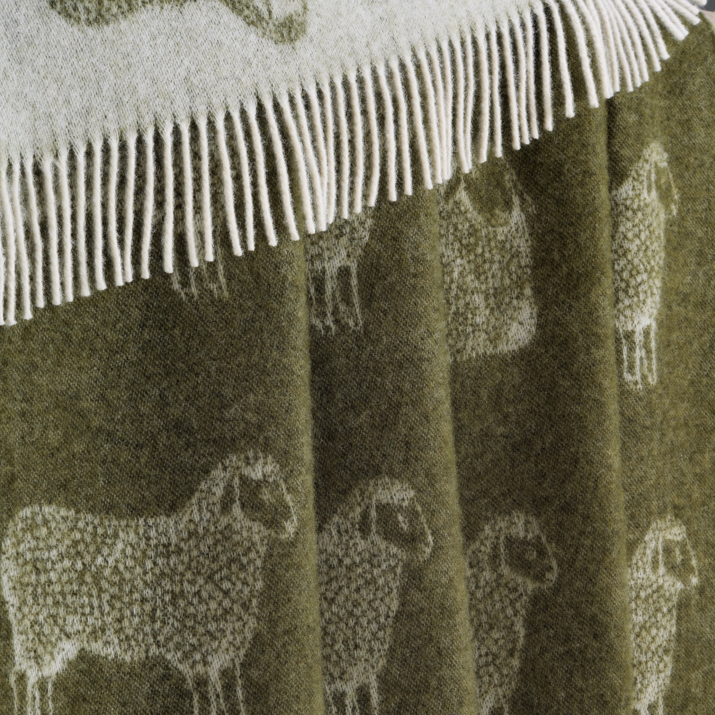 Sheep Mossy Green Pure Wool Throw
