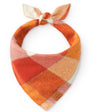 Pumpkin Spice Flannel Fall Dog Bandana