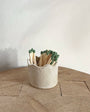 Stoneware Match Holders