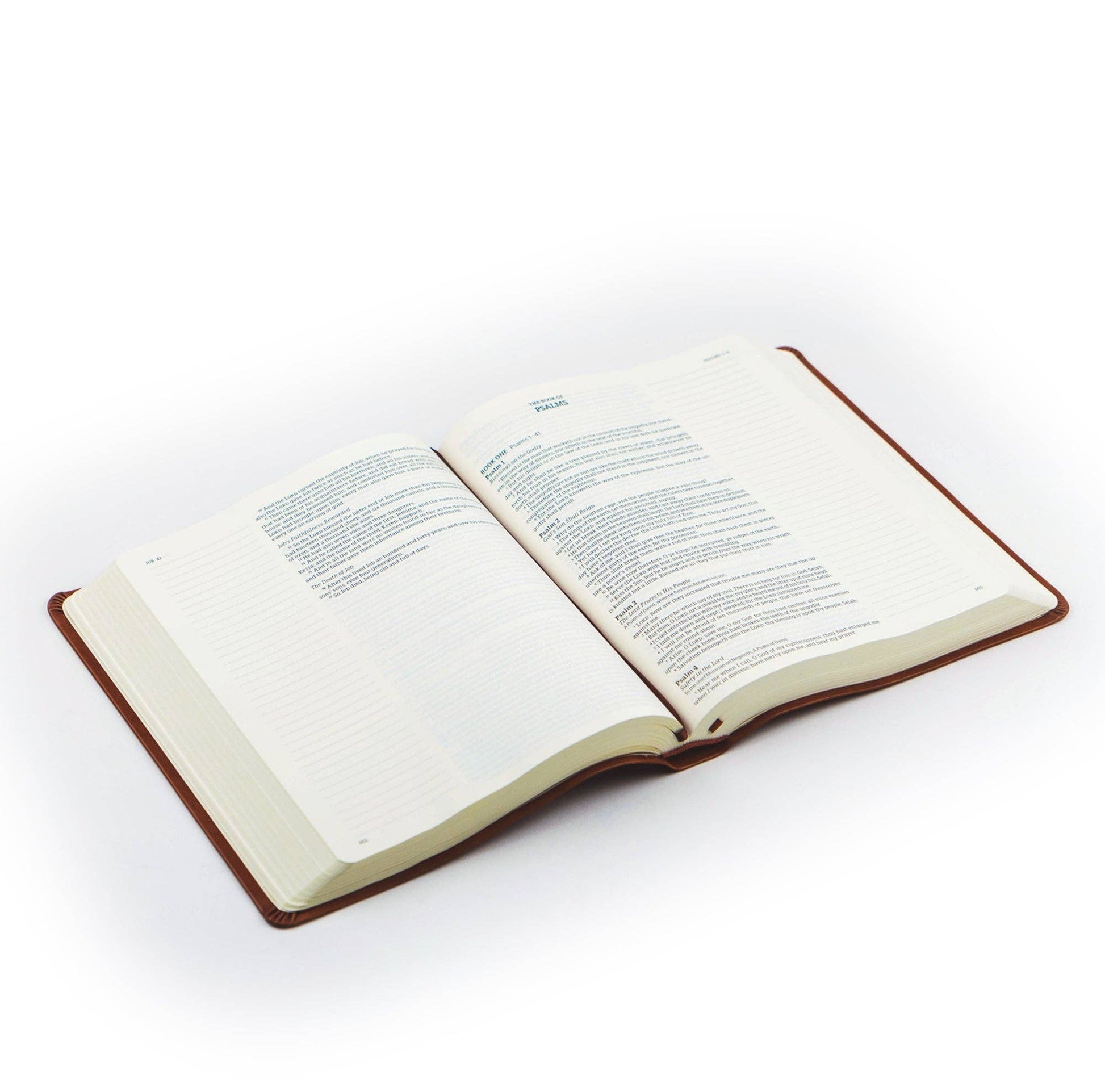Vienna KJV Large Print Notetaking Bible
