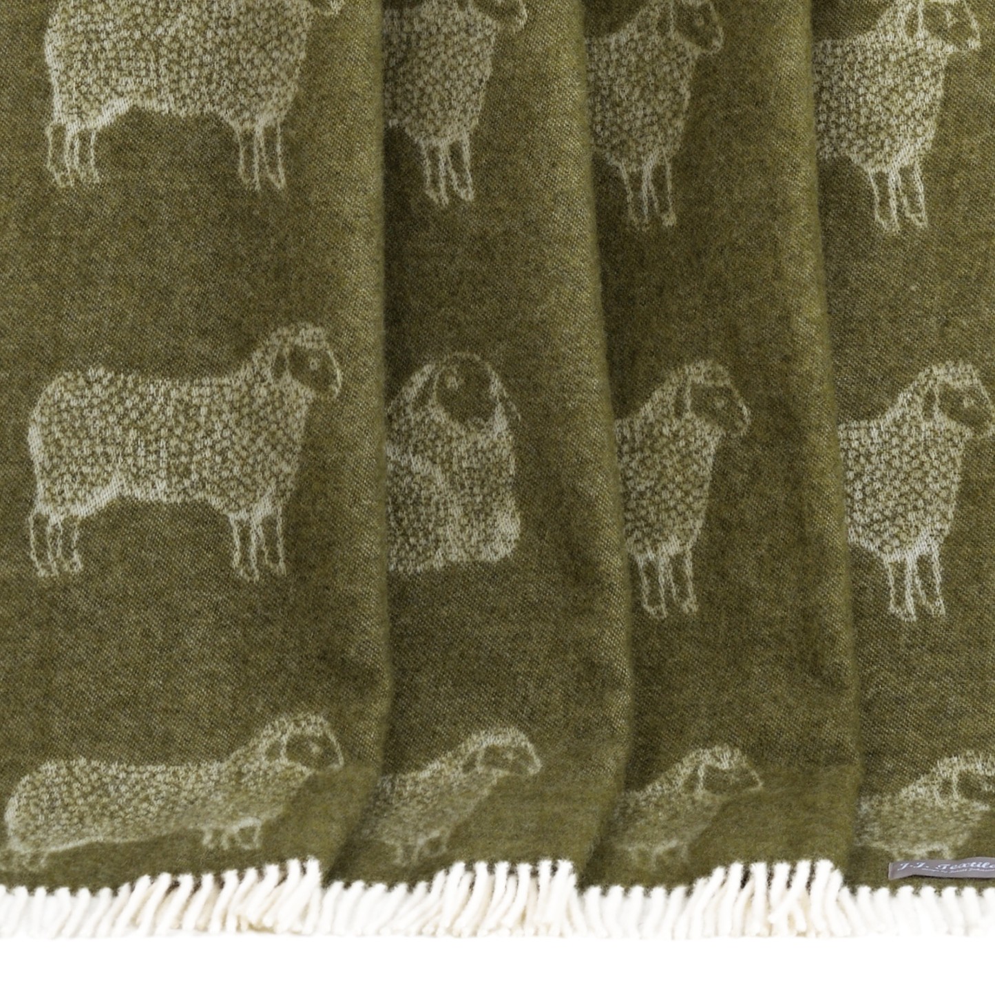 Sheep Mossy Green Pure Wool Throw