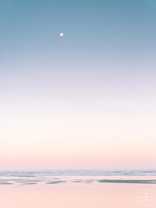 Daydreaming