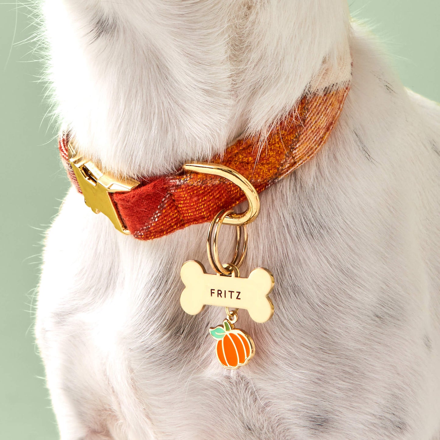 Pumpkin Spice Plaid Flannel Fall Dog Collar
