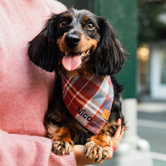 Maple Plaid Flannel Dog Bandana