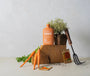 Arber Organic Plant Food