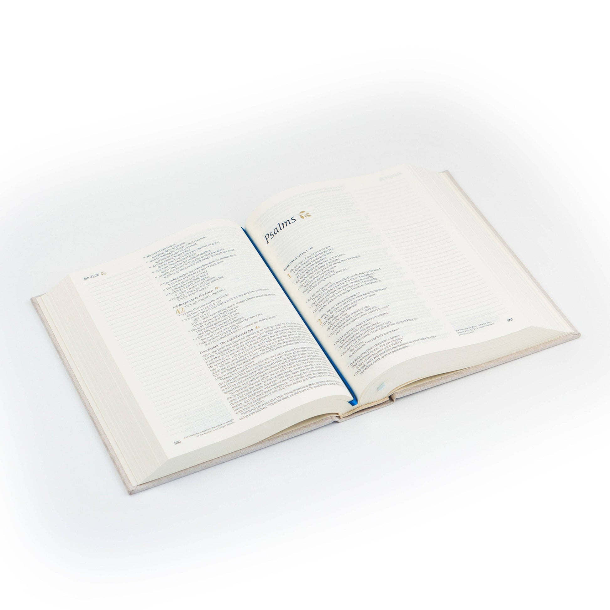 Adelaide NLT Notetaking Bible