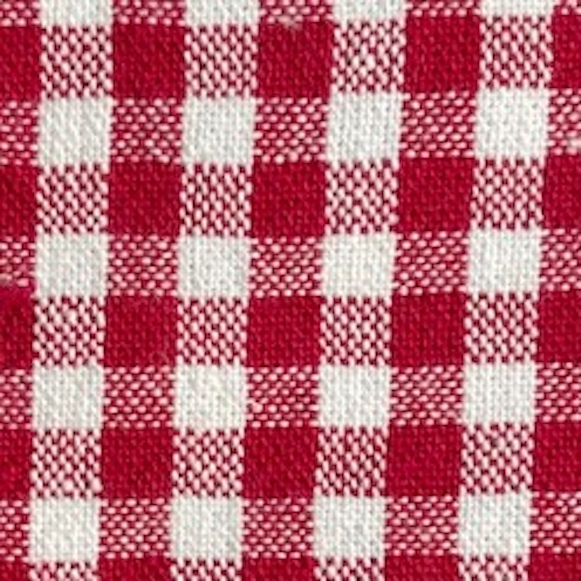 Red Gingham Dog Squeaky Toy