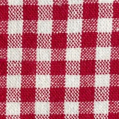 Red Gingham Dog Squeaky Toy