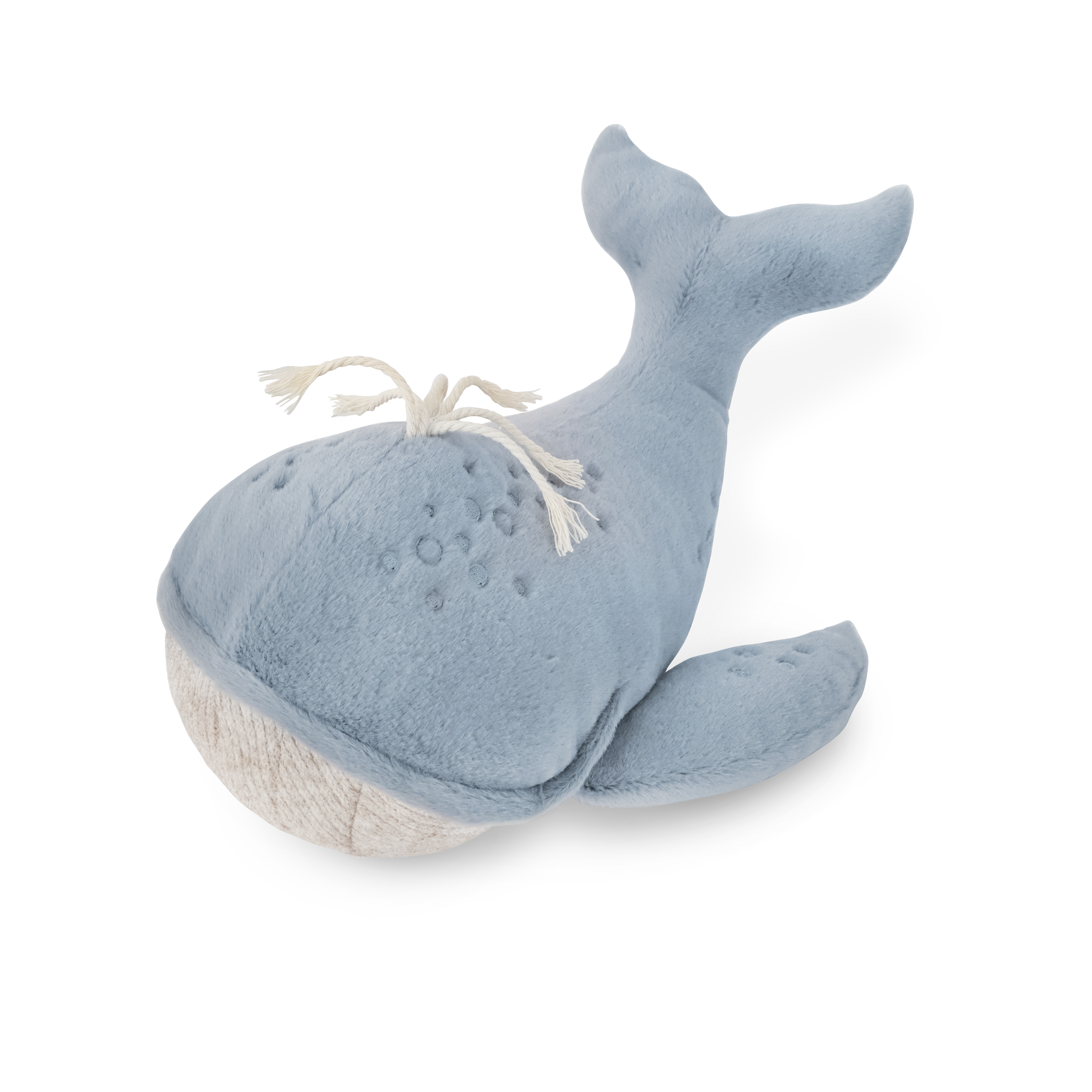 Wally The Whale