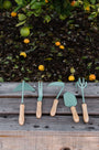 Set of gardening tools with wooden handles on a wooden surface, with a garden and fruit in the background.