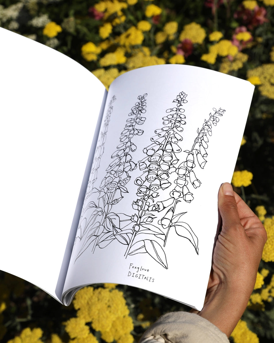 Buds Along the Path Coloring Book
