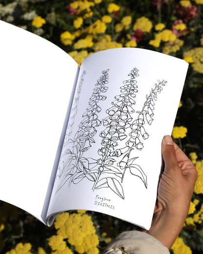Buds Along the Path Coloring Book