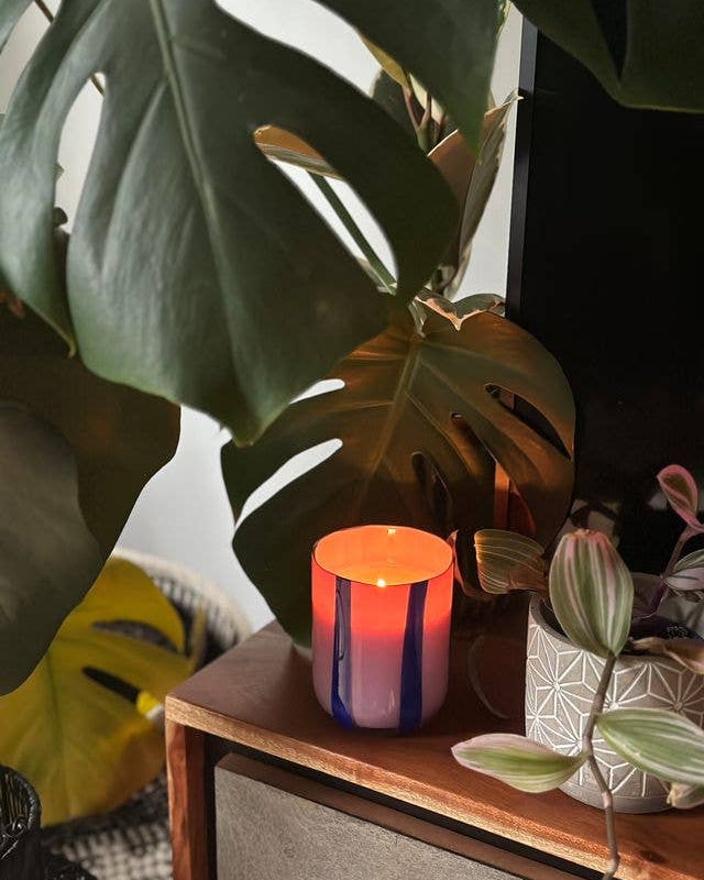 Atina Candle - Blackcurrant & Oud