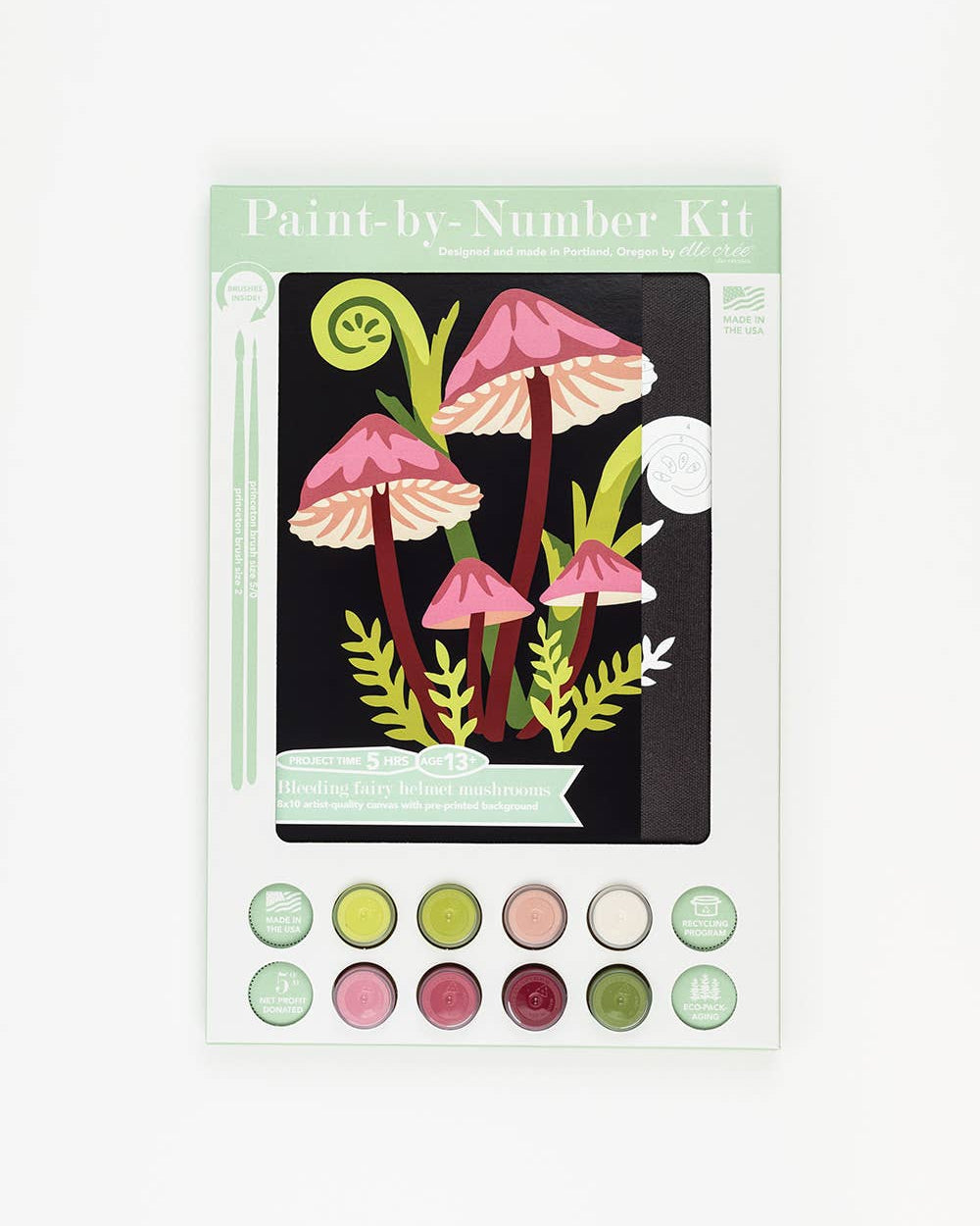 Bleeding Fairy Helmet Mushrooms Paint-by-Number Kit