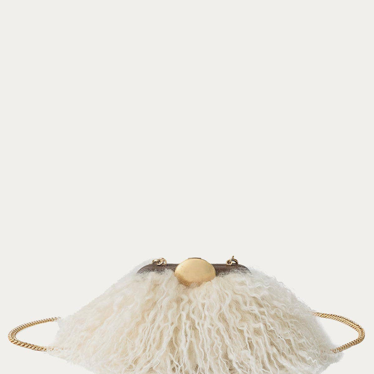 Full Circle Micro Frame Chain Crossbody