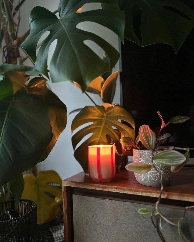 Atina Candle - Orange Blossom & Basil