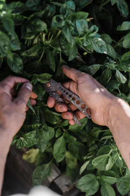 Herb Harvest + Strip Tool