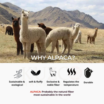 Alpaca Fur Slippers