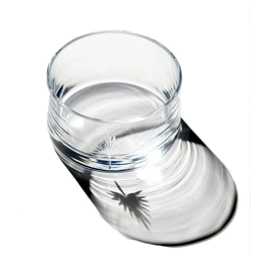 Palmetto Wine Bottle Coaster